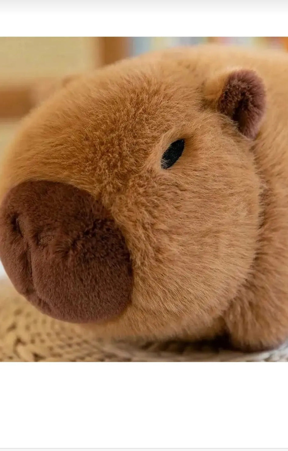 Avokado Capybara Peluş Oyuncak 35 cm